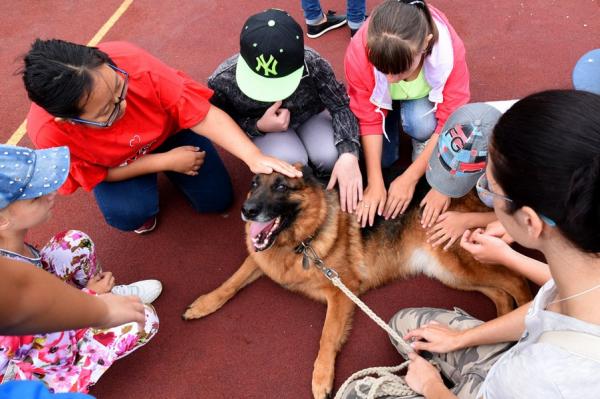 В Центре «Преодоление» организованы занятия для детей-инвалидов с участием собак